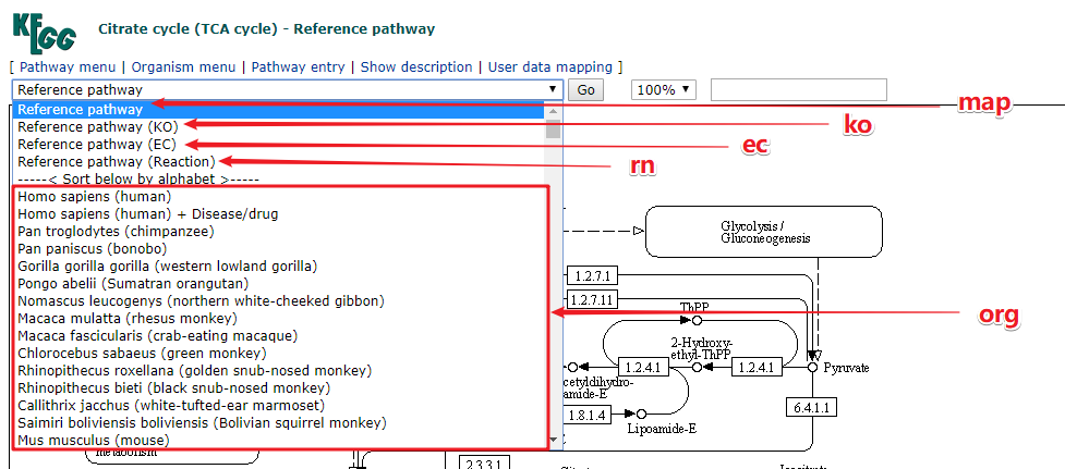 一文极速读懂 KEGG 数据库_数据库_07