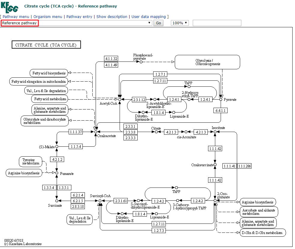 一文极速读懂 KEGG 数据库_生物学_08