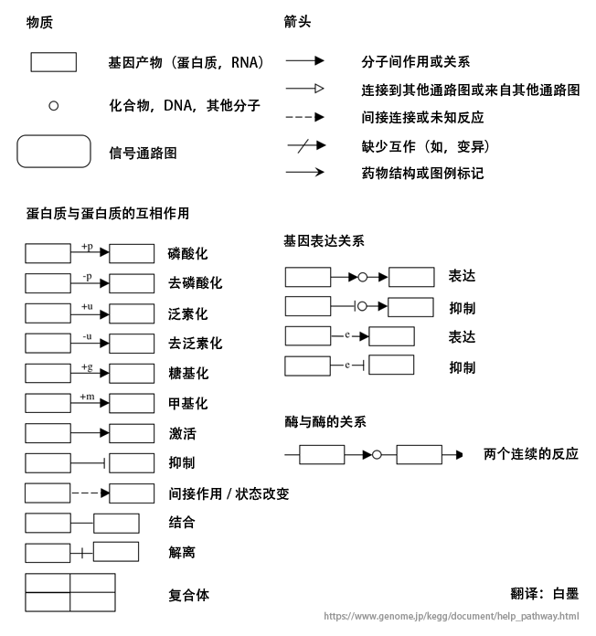 一文极速读懂 KEGG 数据库_生物信息学_09