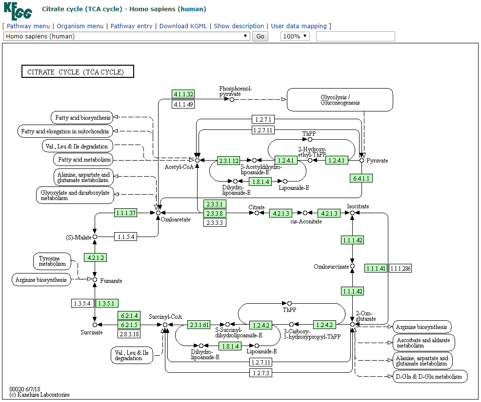 一文极速读懂 KEGG 数据库_生物学_10