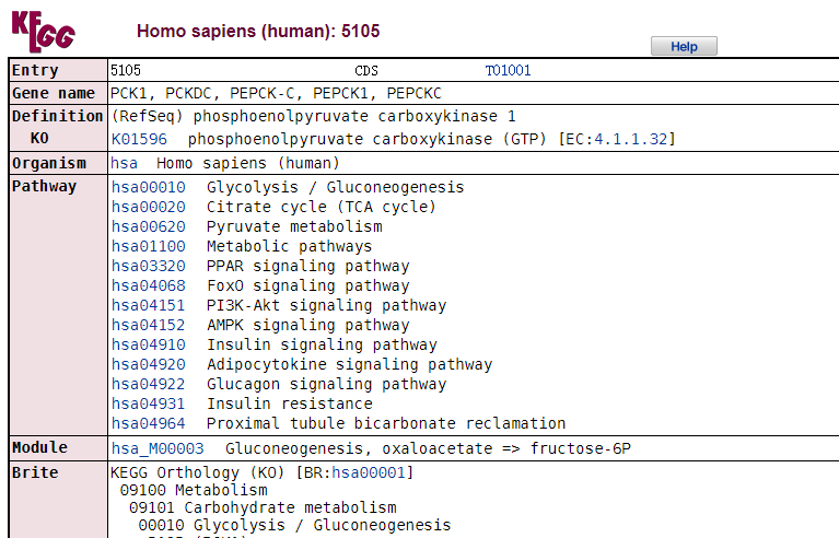 一文极速读懂 KEGG 数据库_生物学_11