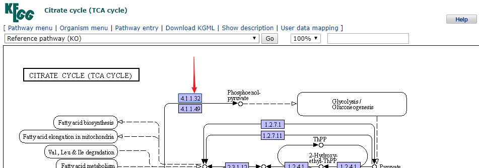 一文极速读懂 KEGG 数据库_通路图_12