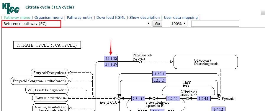 一文极速读懂 KEGG 数据库_通路图_14