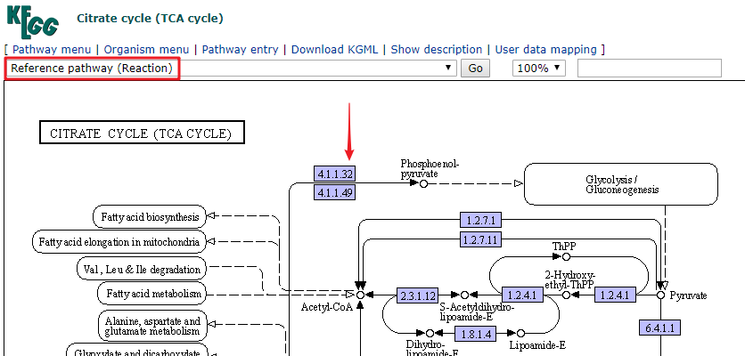 一文极速读懂 KEGG 数据库_KEGG_16