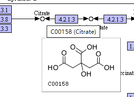 一文极速读懂 KEGG 数据库_生物学_22