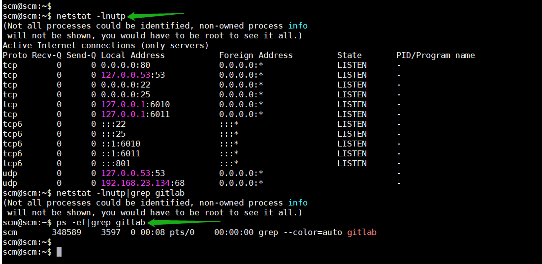 Ubuntu 20.04 安装 gitlab-ce_nginx_11