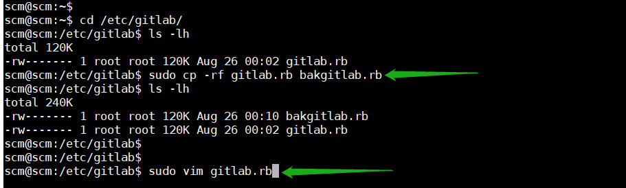 Ubuntu 20.04 安装 gitlab-ce_重新启动_12