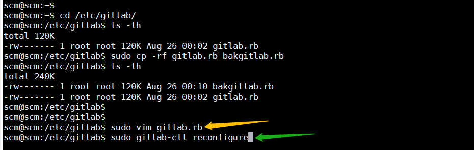 Ubuntu 20.04 安装 gitlab-ce_git_13