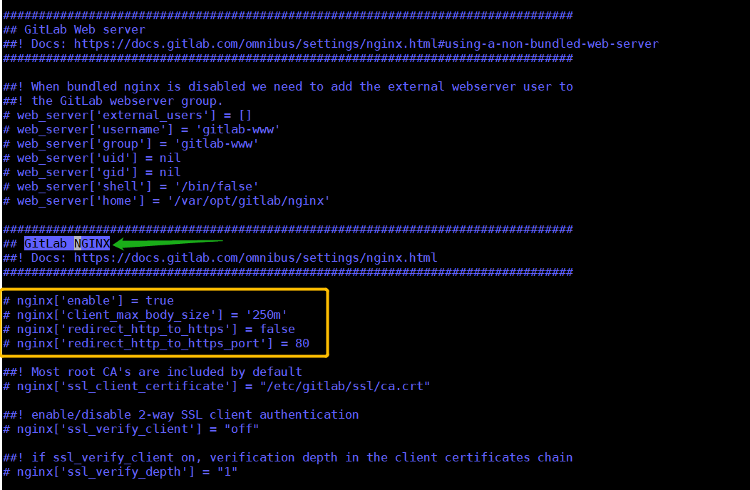 Ubuntu 20.04 安装 gitlab-ce_nginx_30