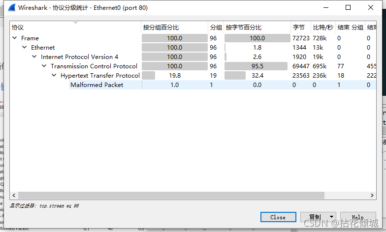 [工具使用]Wireshark_网络安全_17