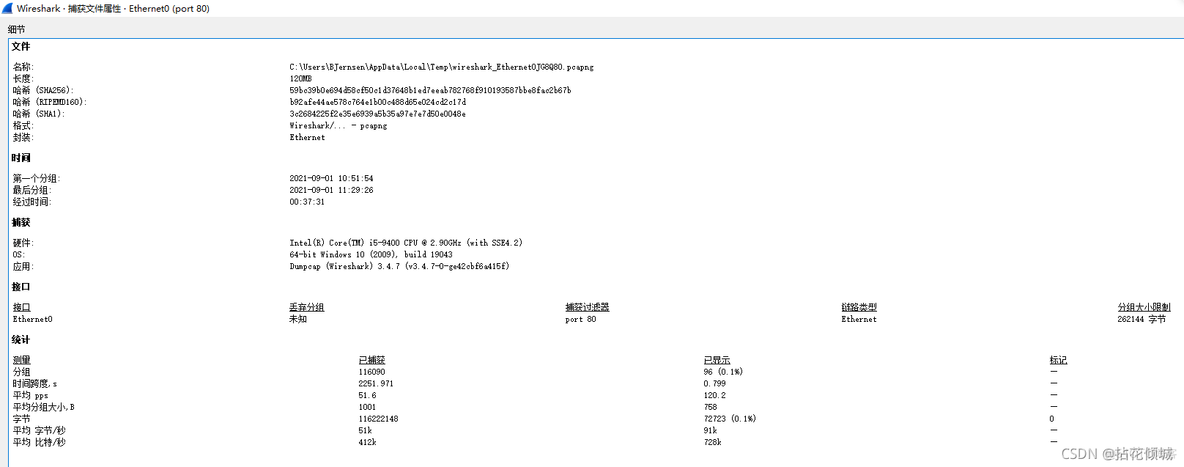 [工具使用]Wireshark_网络安全_18