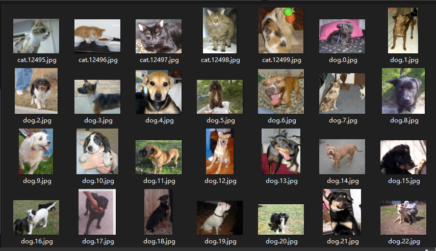 ML .NET 猫狗图像分类_数据_03