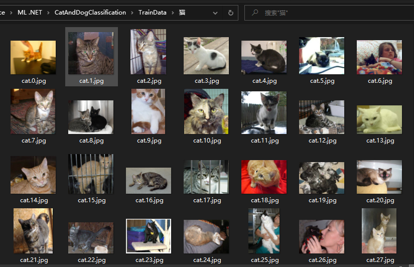 ML .NET 猫狗图像分类_数据集_05