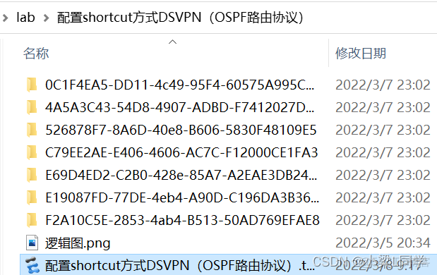 HCIE-Security Day25：DSPN+NHRP+Mgre：实验(四）配置shortcut方式DSPN（OSPF路由协议）_数据_04