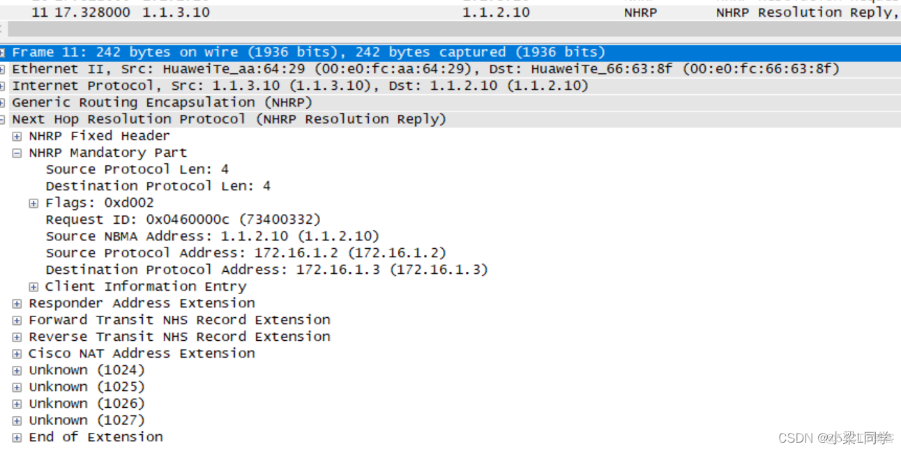 HCIE-Security Day25：DSPN+NHRP+Mgre：实验(四）配置shortcut方式DSPN（OSPF路由协议）_数据_20