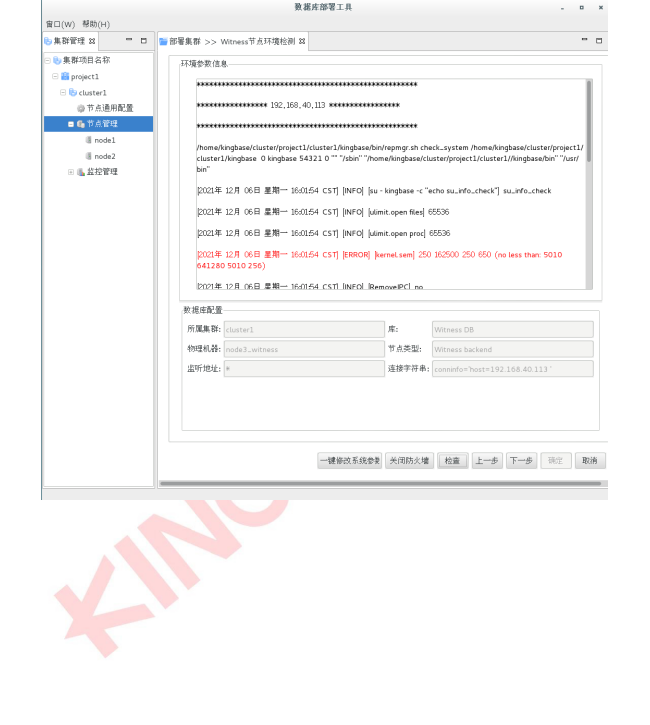 金仓数据库部署V8R6集群_数据库_26