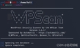 [工具使用]WpScan