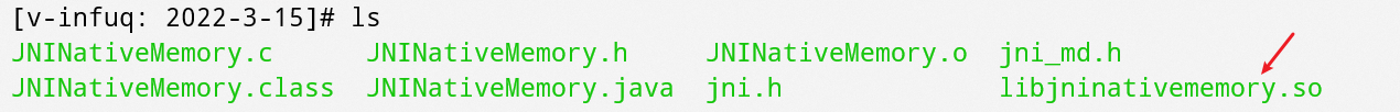 Java通过JNI申请直接内存_#include_08