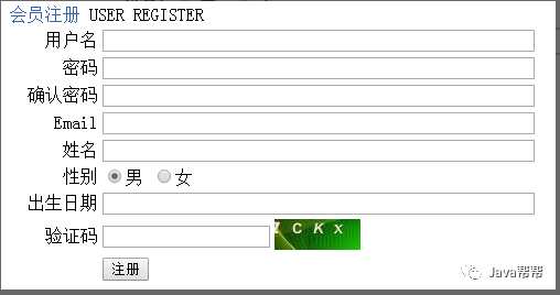 Web-第二天 HTML表单&CSS【悟空教程】_css_24