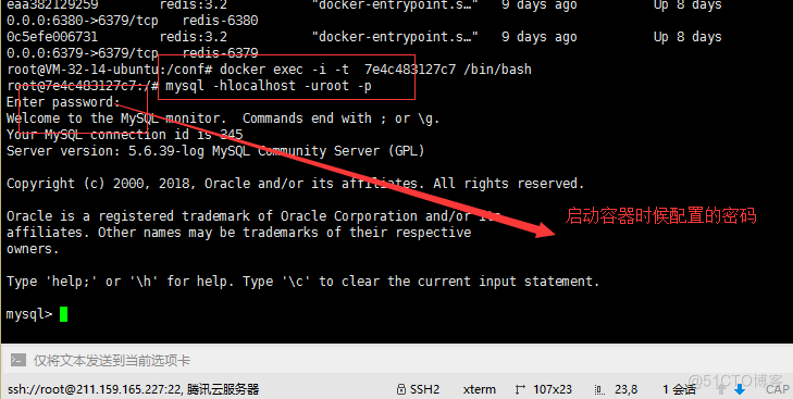 使用Docker容器搭建MySql主从复制_docker_06