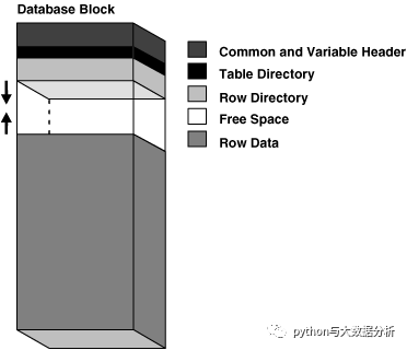 关于Oracle 数据块、B树索引和5种索引扫描_数据