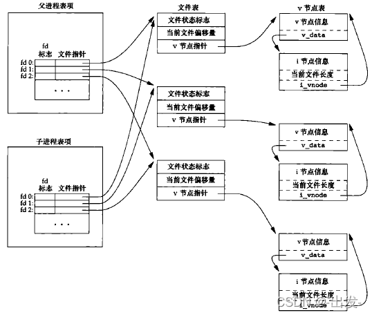 Linux系统编程(一) ----进程基础_子进程_10