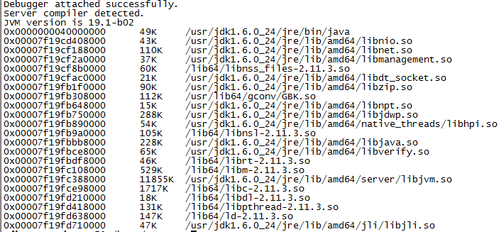 java问题诊断和排查工具_jps_08