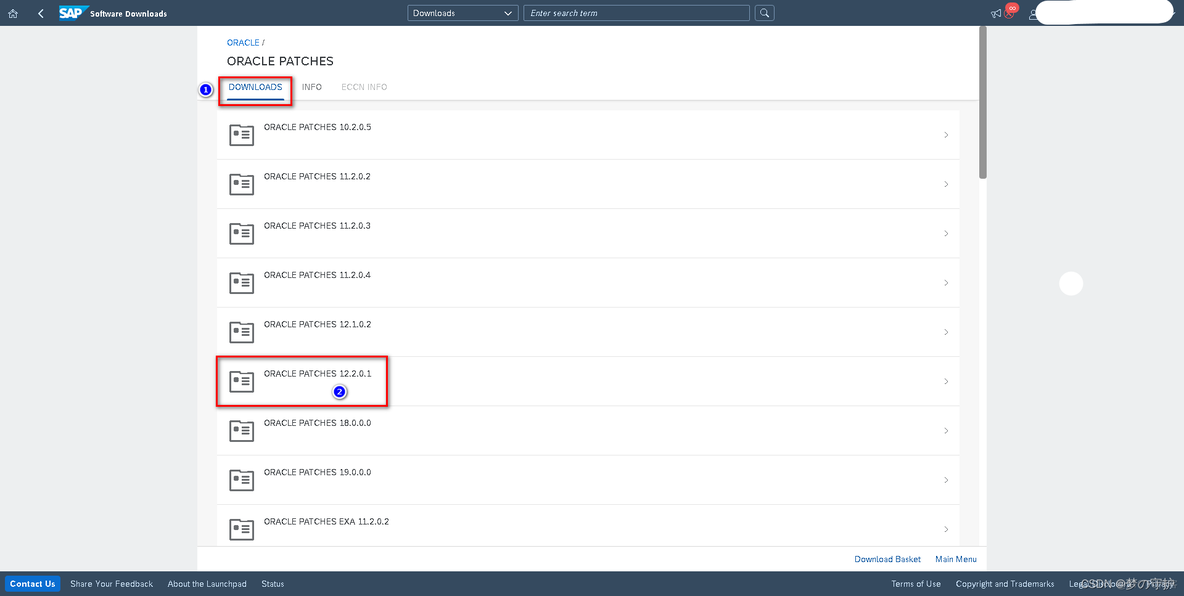 【安装Oracle 12.2.0.1补丁】Oracle Database SAP Bundle Patch 12.2.0.1.220118 - 202202_bundle_04