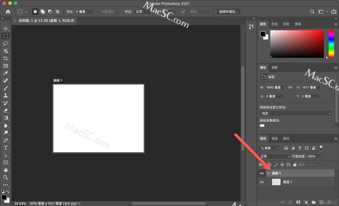 「Photoshop2021入门教程」创建用于制作名片的画板_PS教程_04