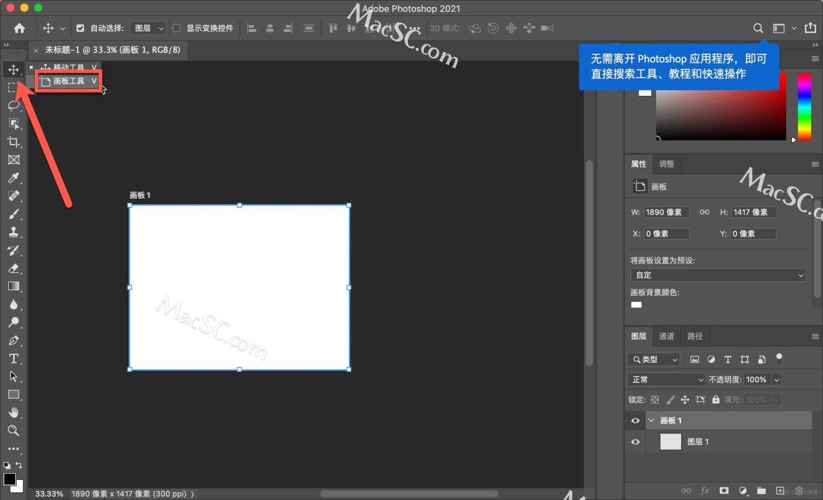 「Photoshop2021入门教程」创建用于制作名片的画板_PS教程_05
