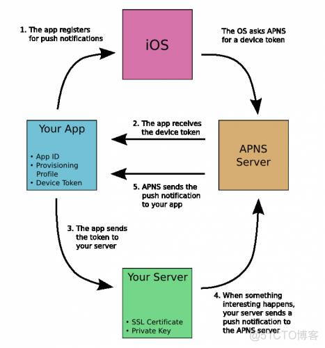 IOS 推送消息 php做推送服务端_iphonepush_02