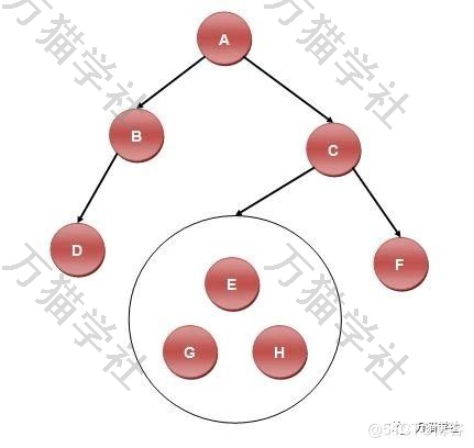 二叉树面试题：前中序求后序、中后序求前序_子树_04