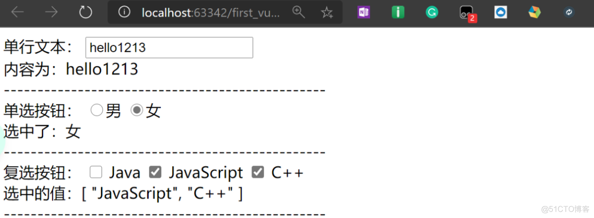 Vue入门——常见指令及其详细代码示例_html_12