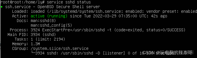 Ubuntu 20.04.3 启动sshd失败，报错:Failed to start OpenBSD Secure Shell server_解决方案_02