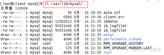 MySQL安装-二进制软件包安装_数据库_04