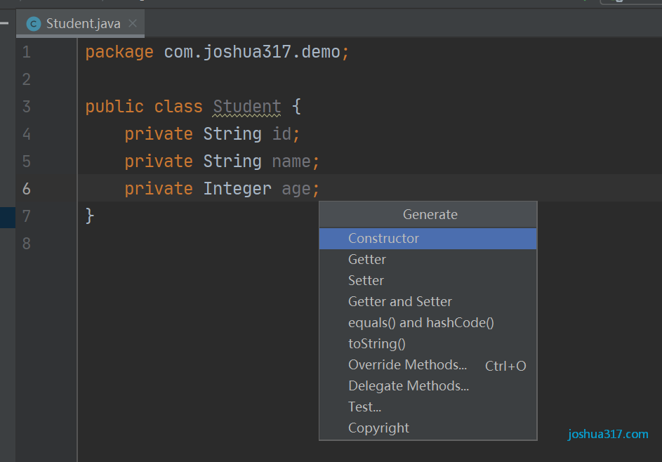 IntelliJ IDEA get set 快捷键_Java_02