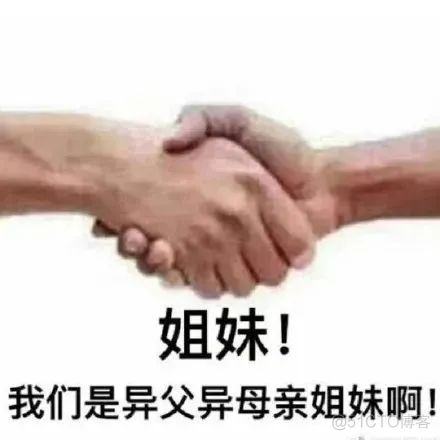 当代网友都在拼多多里买什么？_新网_29