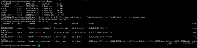 Docker安装Nginx并且部署Vue项目超详细_其他_04