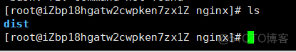 Docker安装Nginx并且部署Vue项目超详细_配置文件_05