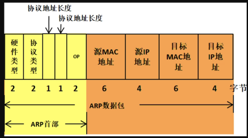 自上而下的理解网络（6）——终篇！ARP与Ethernet Ⅱ_mac地址_04