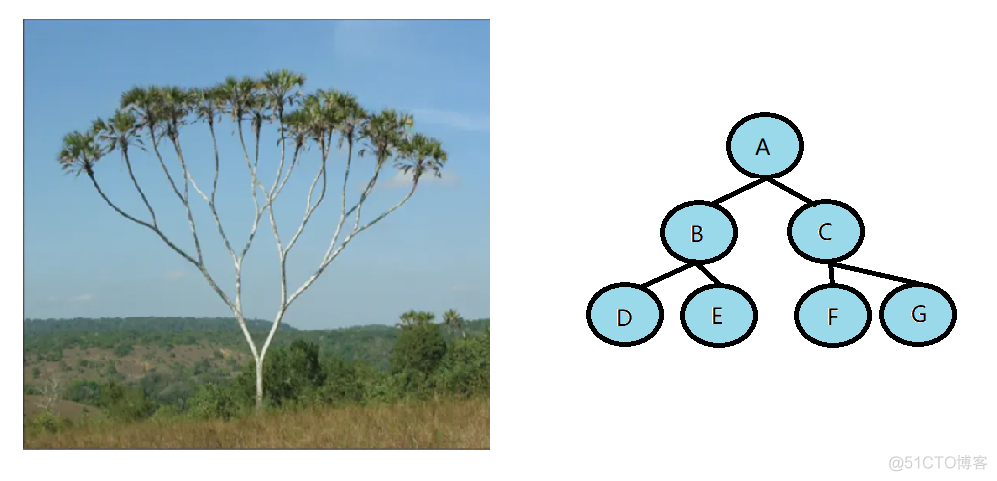 【C语言】什么是树，二叉树又是啥玩意_二叉树_14