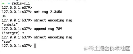 Redis 源码分析字符串对象（z_string）_字符串_07