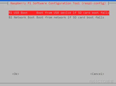 Raspberry Pi：树莓派开发板配置USB启动系统_固件_05