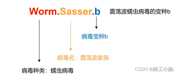 2022软考网工笔记(网络安全)_软考网工笔记_17