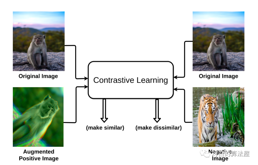 再介绍一篇最新的Contrastive Self-supervised Learning综述论文_面试_02