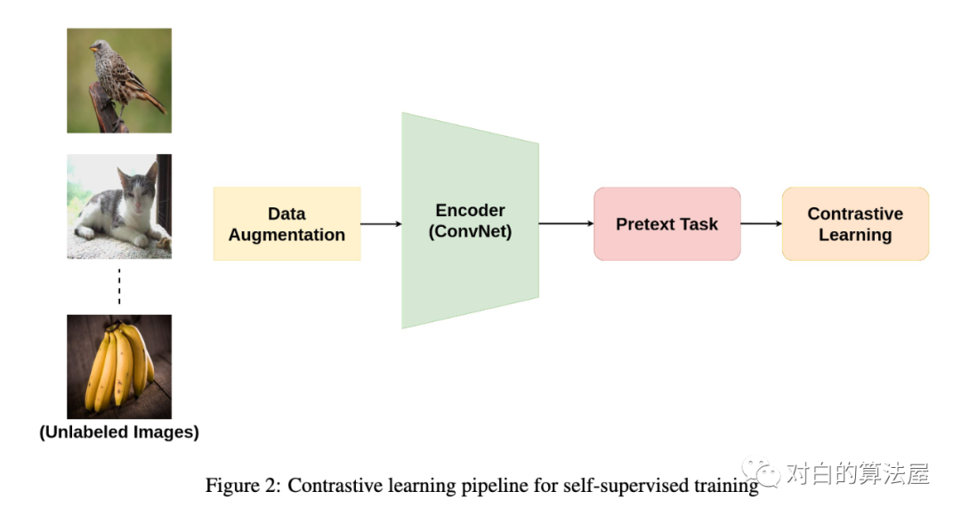 再介绍一篇最新的Contrastive Self-supervised Learning综述论文_java_03