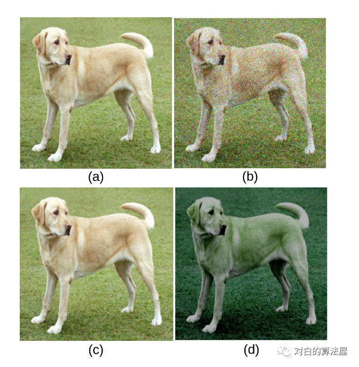 再介绍一篇最新的Contrastive Self-supervised Learning综述论文_职场和发展_05