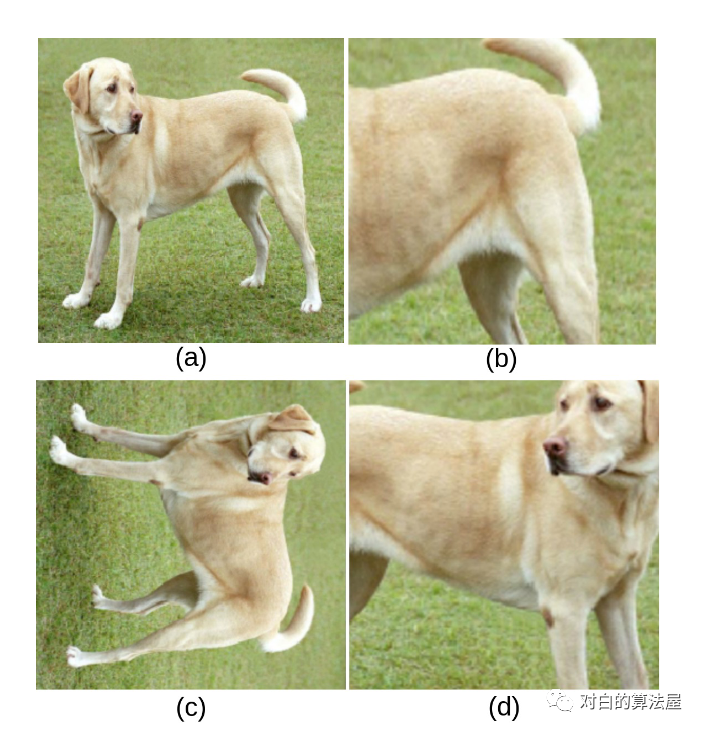 再介绍一篇最新的Contrastive Self-supervised Learning综述论文_监督学习_06