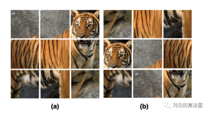 再介绍一篇最新的Contrastive Self-supervised Learning综述论文_数据_07