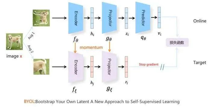 对比学习（Contrastive Learning）在CV与NLP领域中的研究进展_java_11